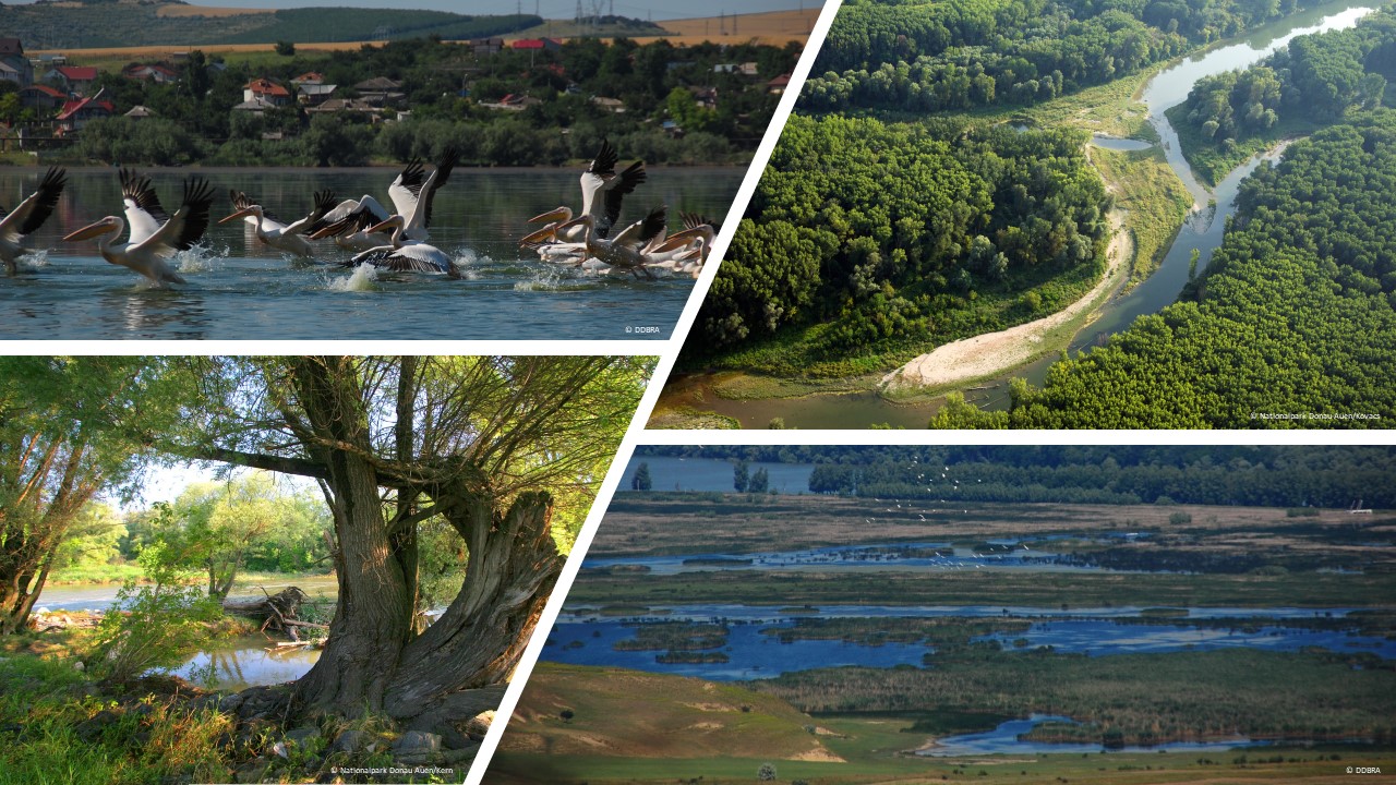 DISCOVER NATURAL BEAUTIES OF THE DANUBE